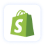 demo.shopify-icon-alt